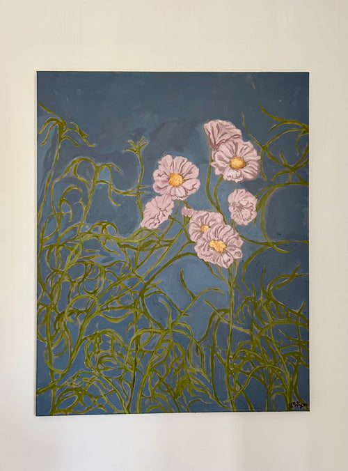 Cosmos in Spring