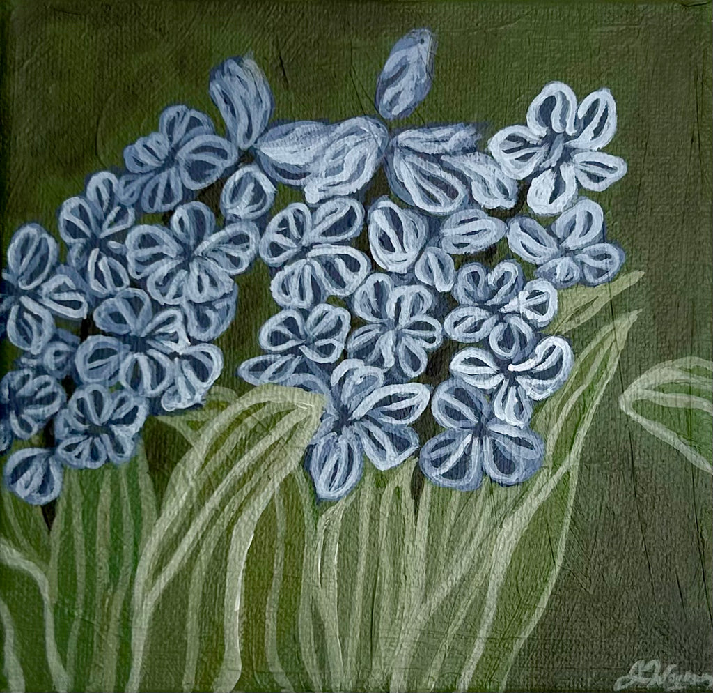 Hyacinth 6 x 6"