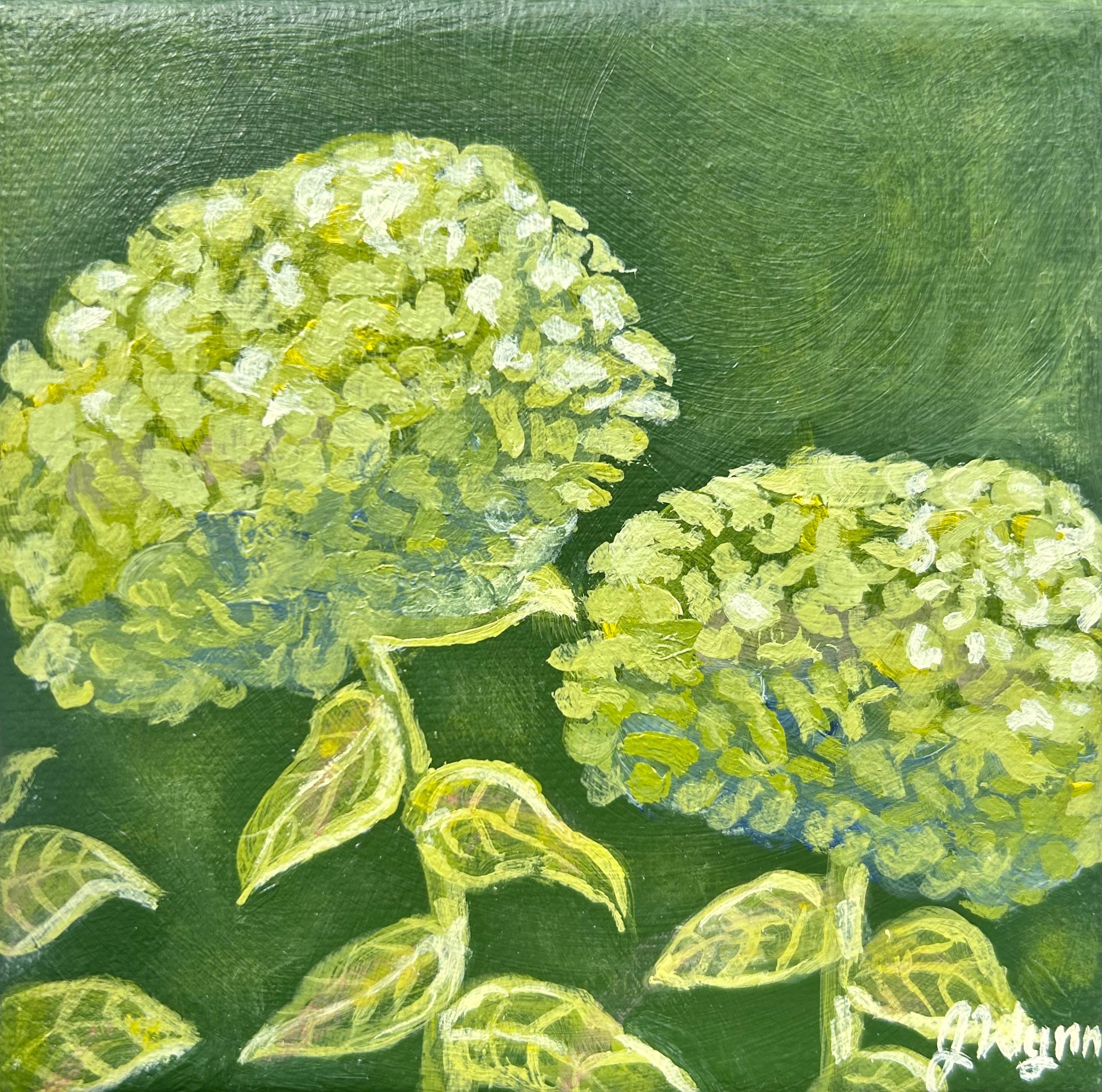 green hydrangea on green background 