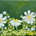 "White Daisies" 4 x 4, Original