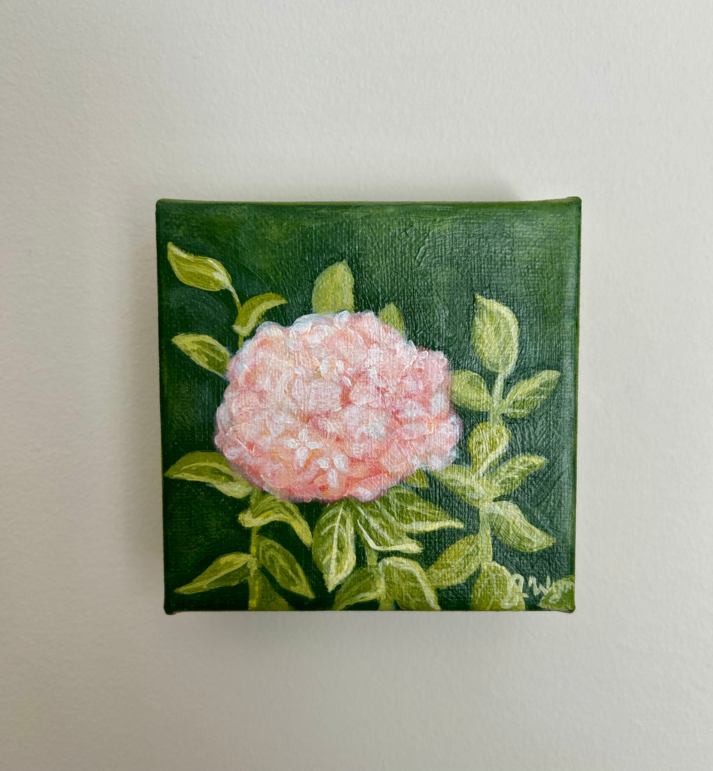"Pink Hydrangea" 4 x 4, Original