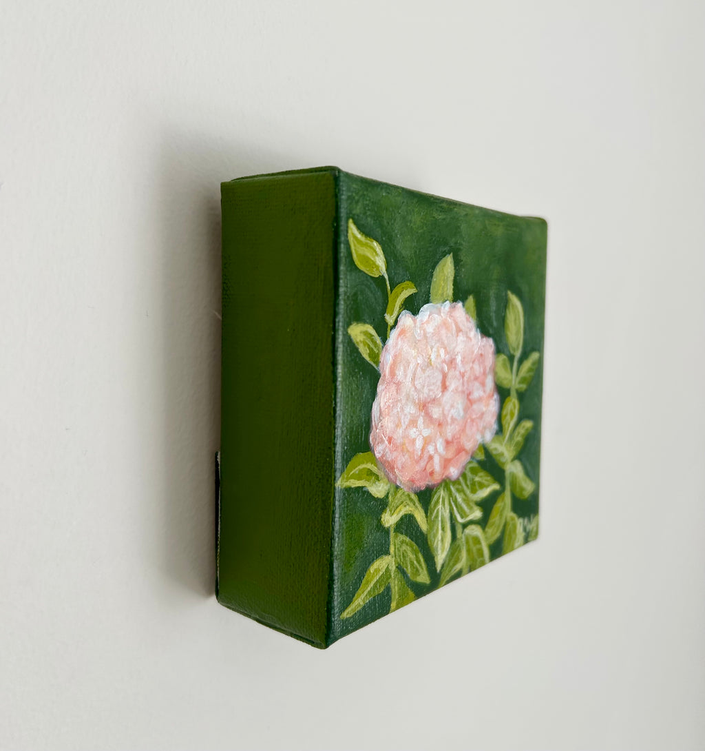 "Pink Hydrangea" 4 x 4, Original