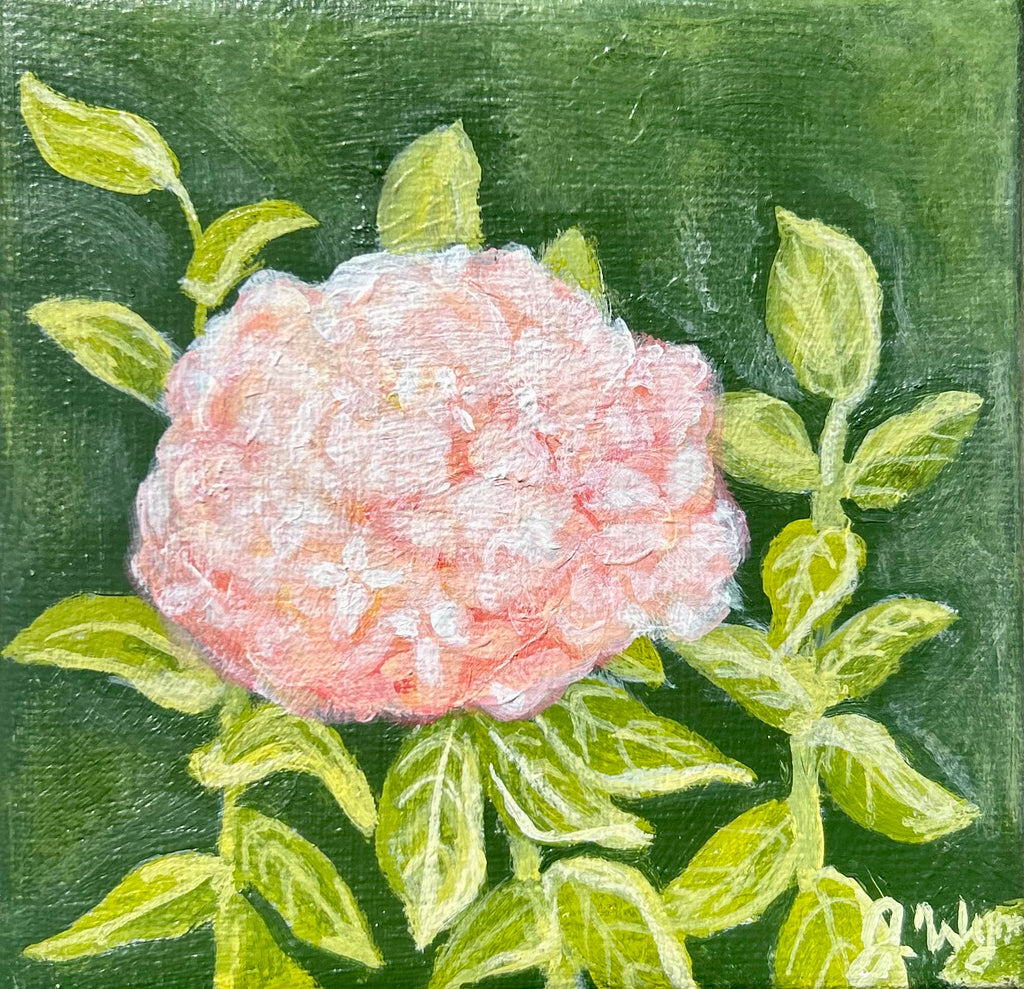 "Pink Hydrangea" 4 x 4, Original