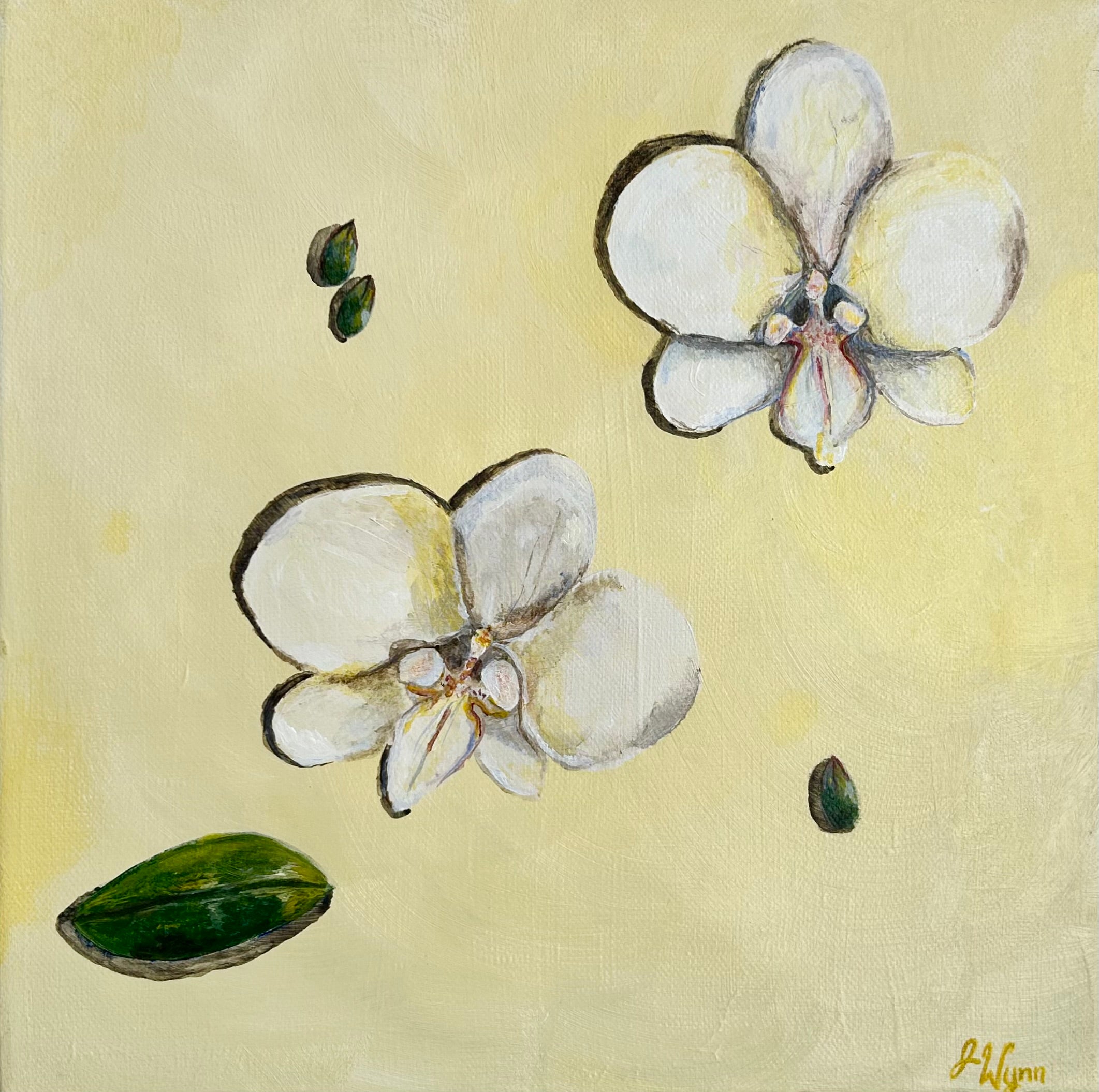 "Orchid Preserved in Time" 12 x 12, Original